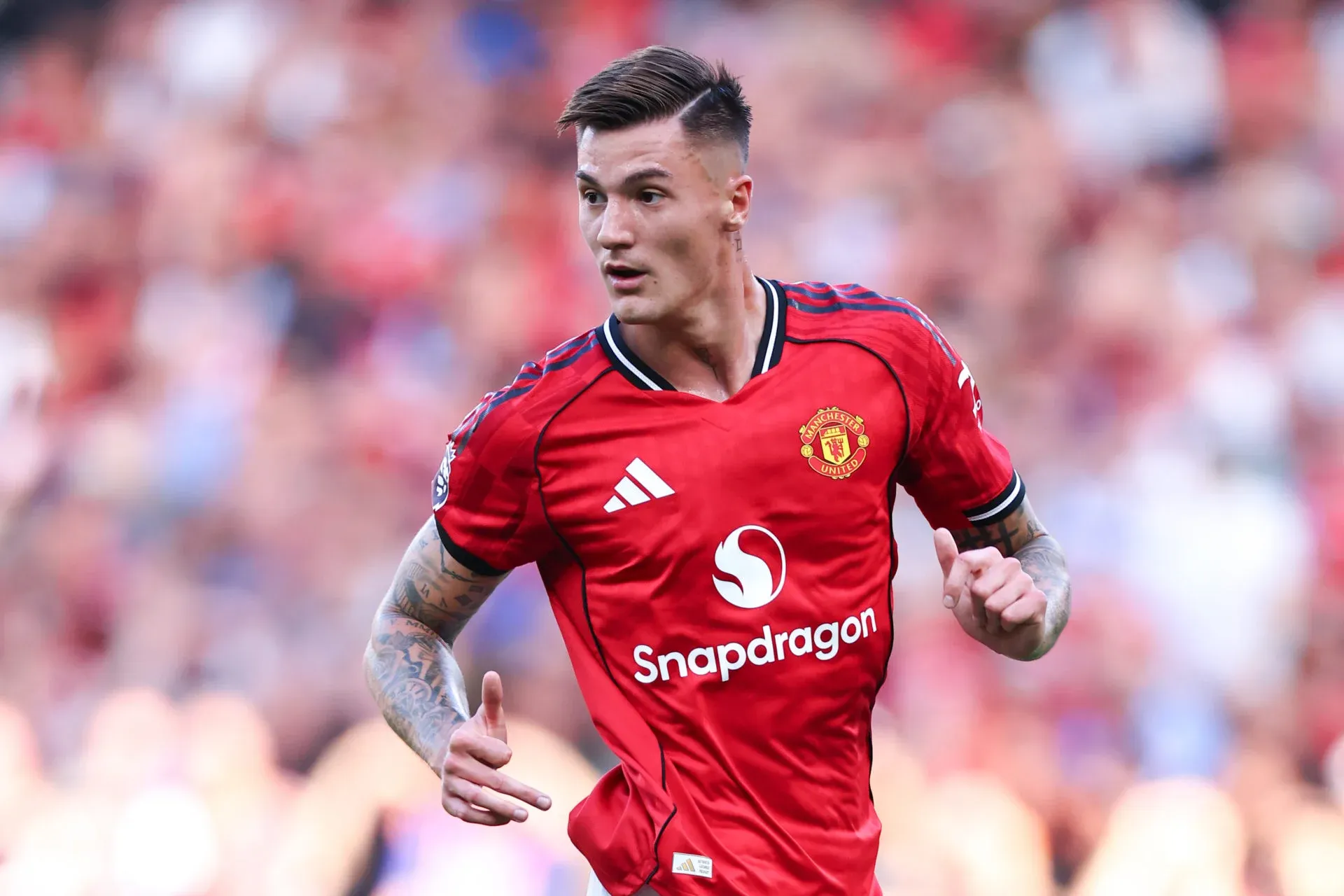 manchester united sesko